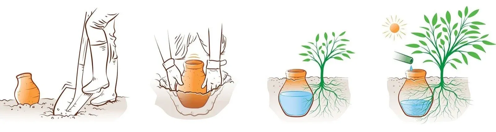 Arroser son potager écologique avec des oyas : schéma de la mise en place et du fonctionnement