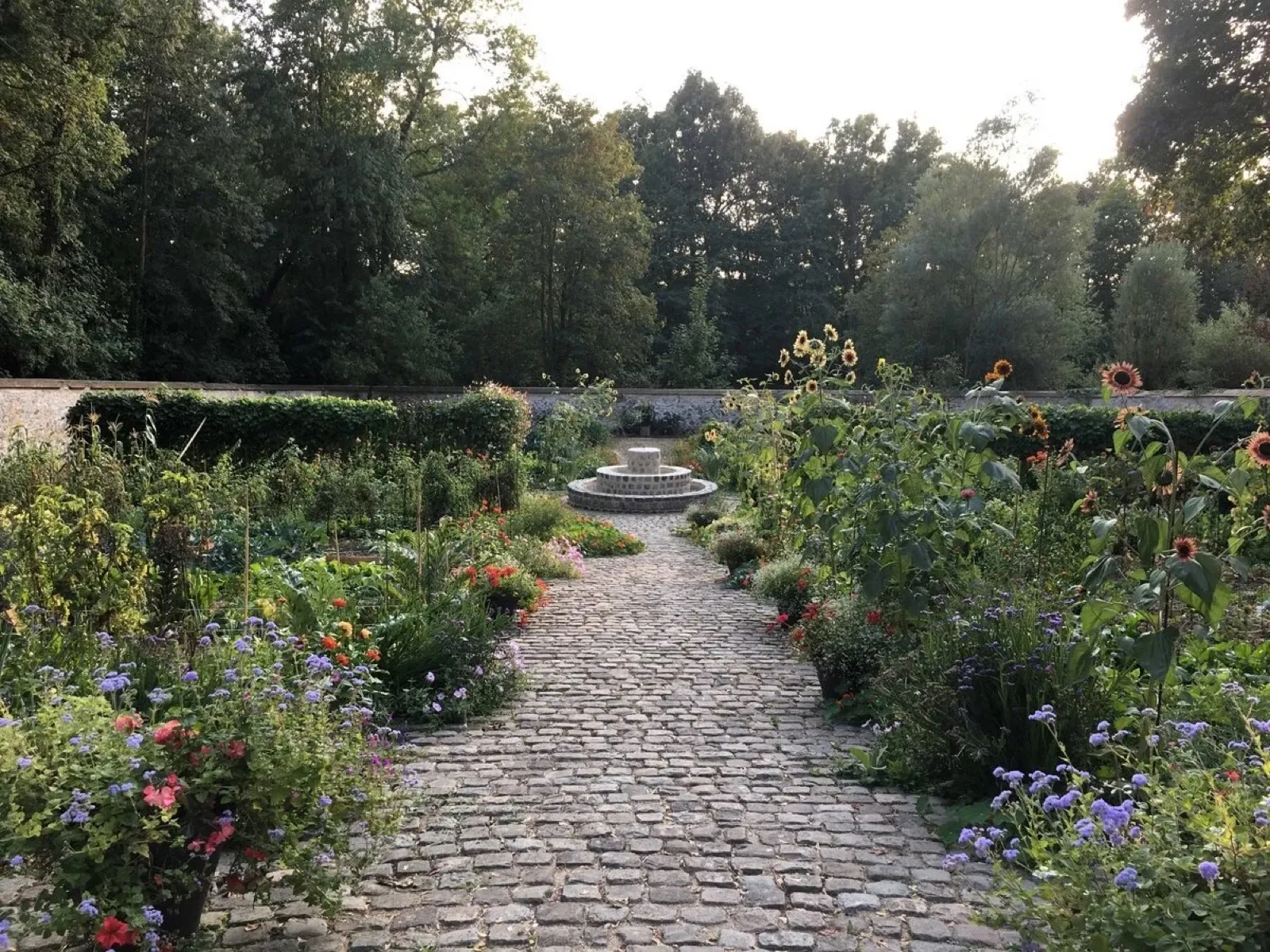 Potager Champrosay