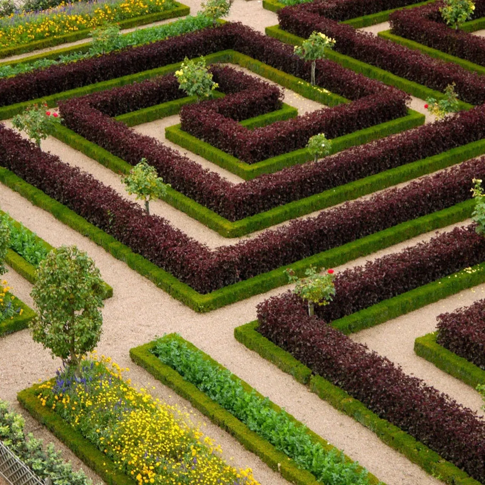 Potager Villandry 2