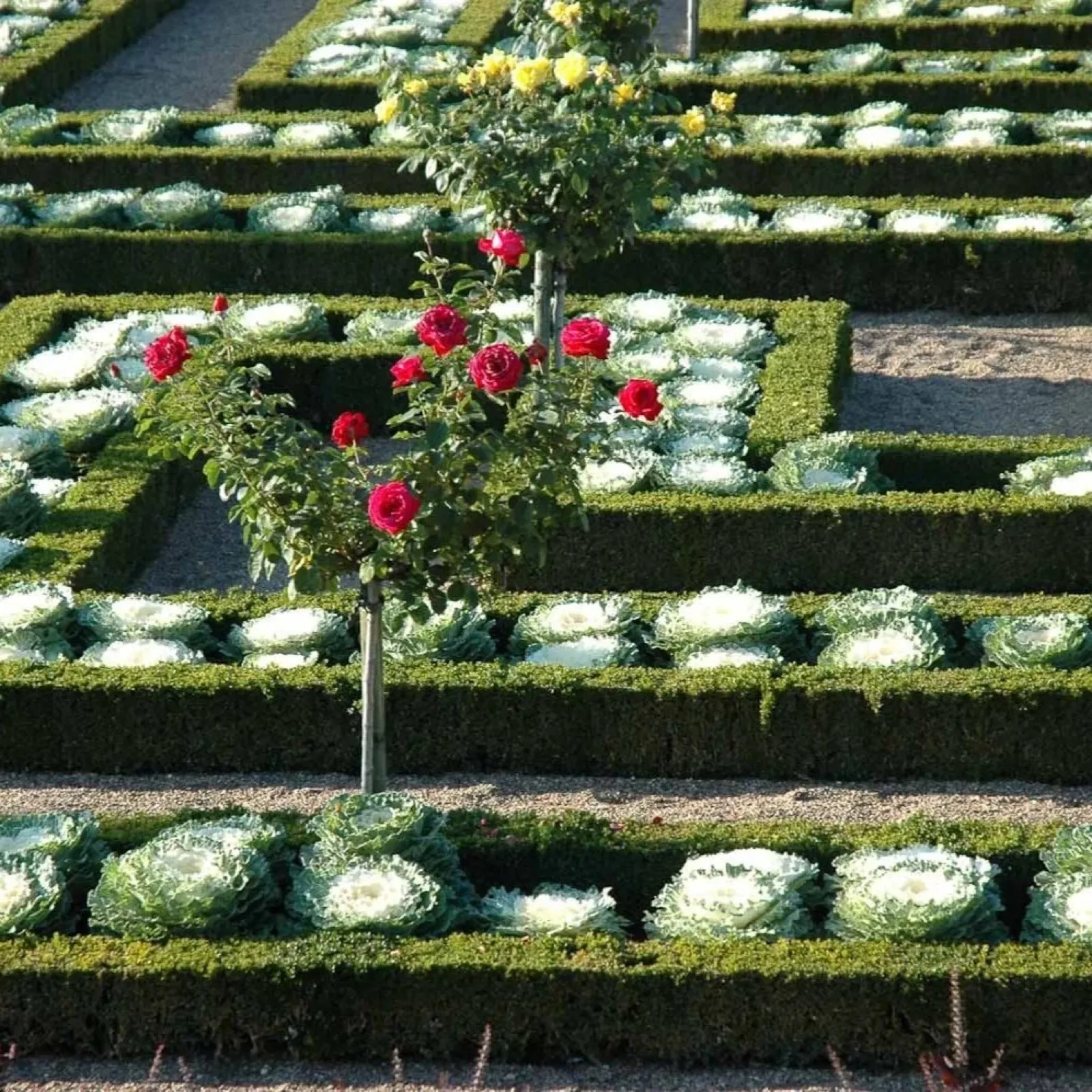 Potager Villandry Entretien